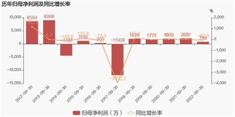 【图解季报】创兴资源：2022年前三季度归母净利润同比下降623，降幅超营收 东方财富网