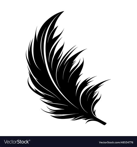 Feather Silhouettes Royalty Free Vector Image Vectorstock