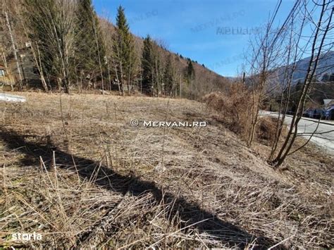 877 m² teren de vanzare Prahova judet Strada Privighetorilor