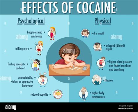 Effects of cocaine information infographic illustration Stock Vector ...