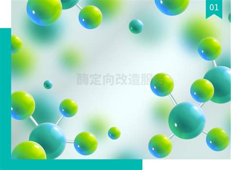 镁孚泰生物 酶改造智能化解决方案提供者 Molefuture