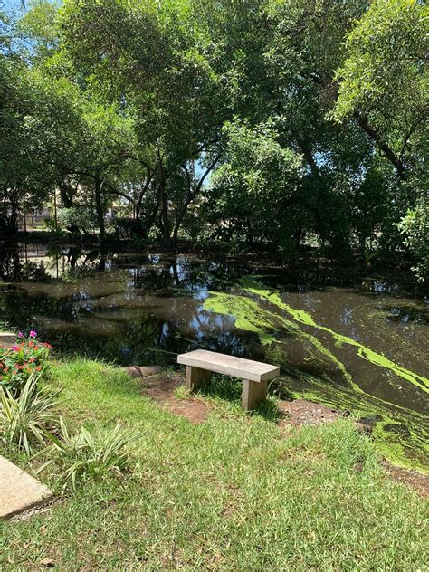 RLN visits Kepshi lagoon site at Labadi Beach Hotel, Accra - Resilient