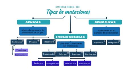 Mapa Conceptual De Tipos De Mutaciones Afm The Best Porn Website