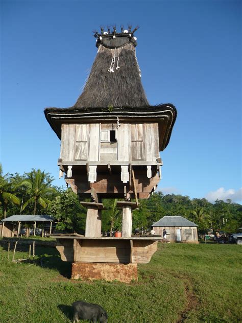 Timorese Culture | Timor Plaza Hotel