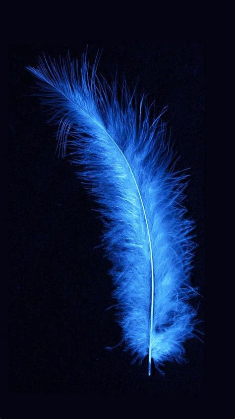 Blue Feather Wallpapers - Top Free Blue Feather Backgrounds ...