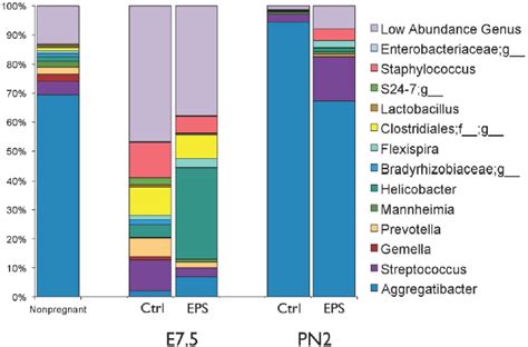 Modeling Human Microbiota In Animal Systems Animal Models For