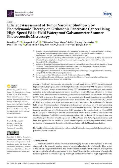 Pdf Efficient Assessment Of Tumor Vascular Shutdown By Photodynamic