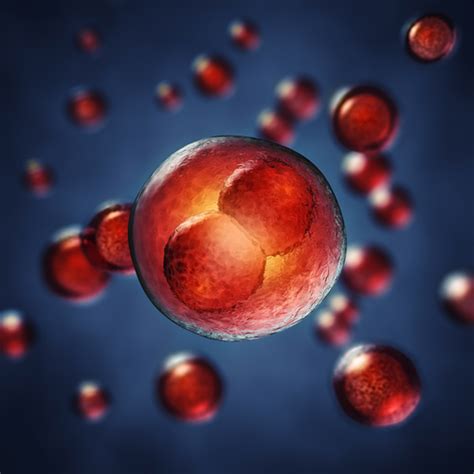 Stem Cell Research and Regenerative Medicine - Clinical Research Trials ...