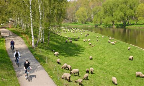 Sportlich Aktiv Zwickau Radfahren Wandern Wassersport Muldental