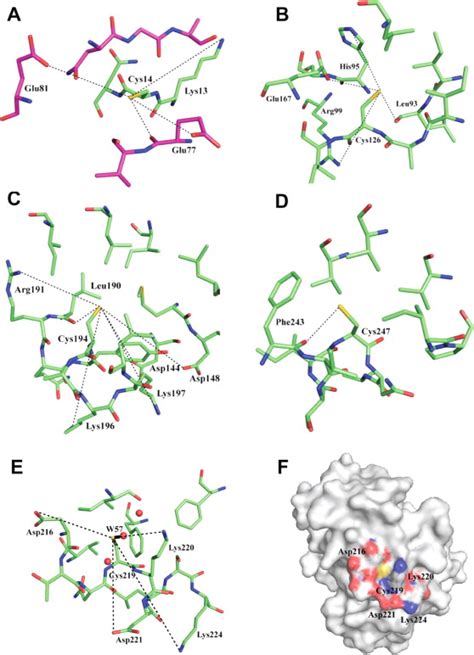 High Resolution Crystal Structure And Redox Properties Of Chloroplastic