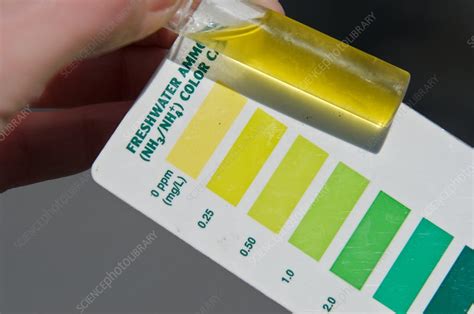 API Ammonia Test Color Chart