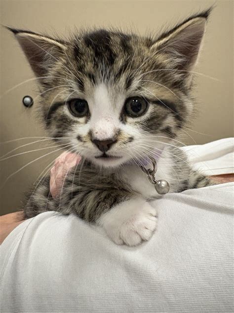 Remembering the Life and Legacy of Patty Petersen 11