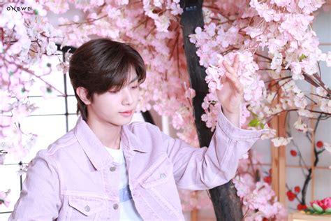 restgallery onewe wiki fandom