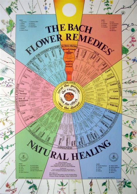 Printable Bach Flower Remedies Chart Pdf - Printable Word Searches