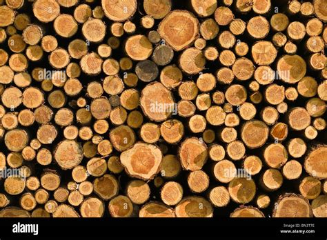 close   log background stock photo alamy