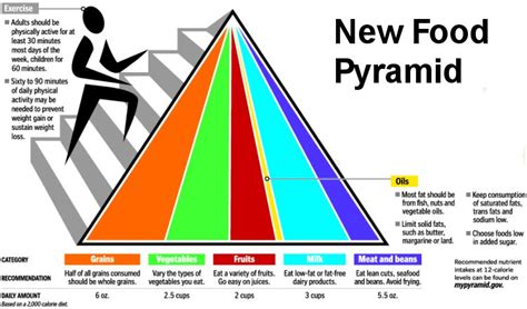 USDA's Food Pyramid Replacement | SkinnyTwinkie