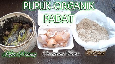 Cara Membuat Pupuk Organik Padat Kulit Pisang Cangkang Telur