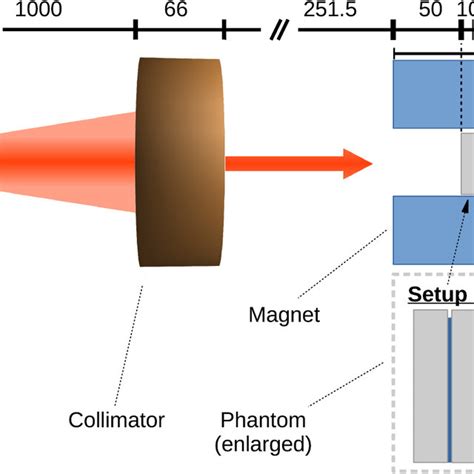 Schematic View Of Setup For The Irradiation Experiment The Collimated