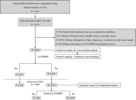 Sample flow chart. N, number; LUTS/BPH, lower urinary tract symptoms... | Download Scientific ...