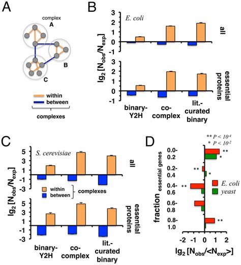 Protein complexes and protein-protein interactions. (A) Schematic ... 