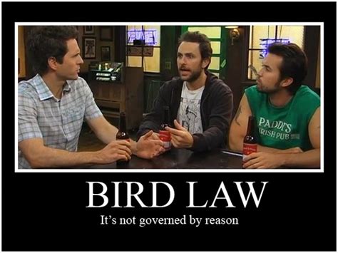 Bird Law Its Always Sunny Bird Law Its Always Sunny In Philadelphia