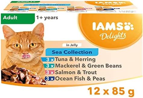 Iams Delights Complete Wet Cat Food For Senior Cats Chicken In Gravy