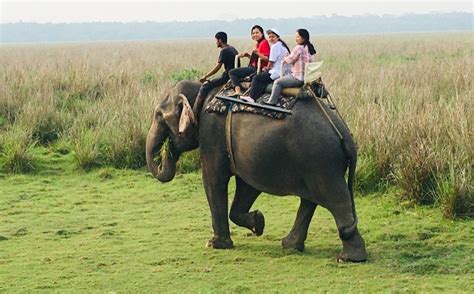 Guwahati Shillong Cherrapunji Kaziranga National Park Tour Nts