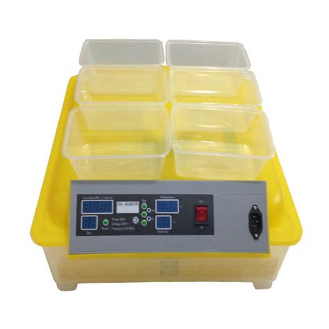 Thermostat For Incubator Tortoise Egg Incubator Small Automatic Mini ...