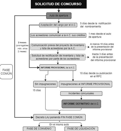 Esquema Sobre La Fase N De La Solicitud Del Concurso De Acreedores