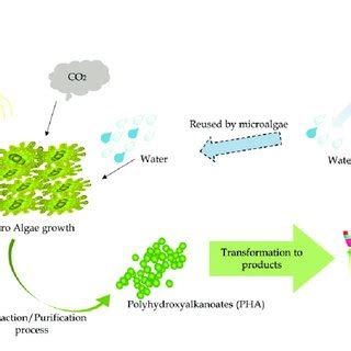 The electrospinning types and biopolymer applications in various... | Download Scientific Diagram