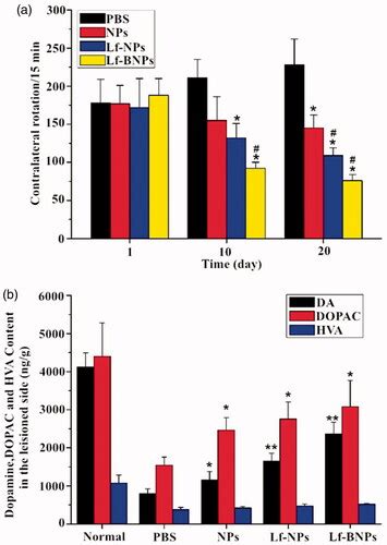 Full Article Brain Targeted Intranasal Delivery Of Dopamine With