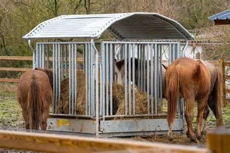 Heuraufe F R Pferd Sinnvoll Und Praktisch Wirtschafts Treffpunkt