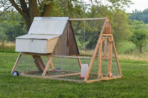 Easy Chicken Tractor Plans For Your Diy Project Twigandthistle