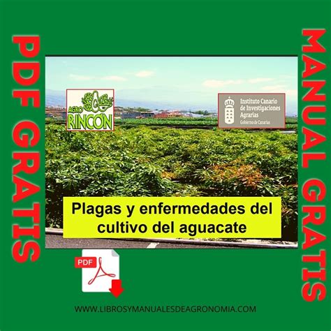 Manual De Plagas Y Enfermedades Del Cultivo De Palto Libros Y