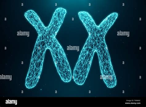 3D Illustration Polygonal Low poly Digital Artificial XX-Chromosomes Consisting Of Consisting ...