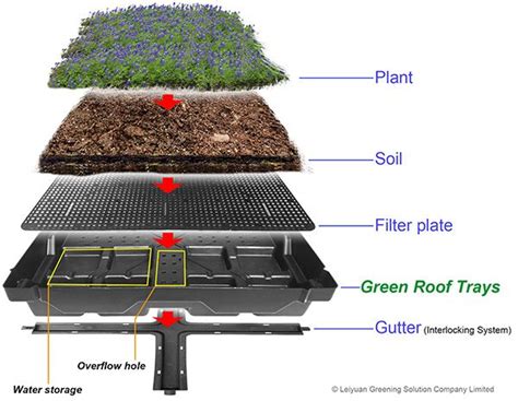 Green Roofs What Is The Working Principle Of Green Roof Trays Green