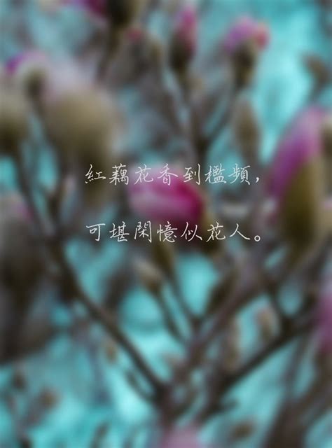 红藕花香到槛频，可堪闲忆似花人 Lockscreen Screenshot Lockscreen Screenshots