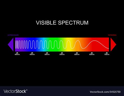 light diagram - Diagram Board