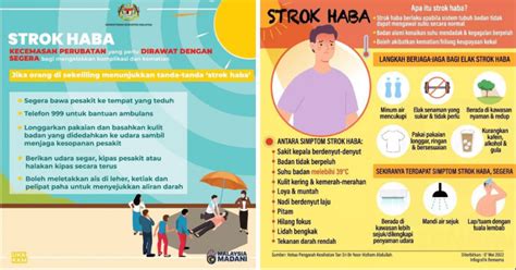 Strok Haba Gejala Rawatan Dan Cara Menanganinya