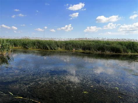 U kanalima uklonjeno 4 5 miliona m2 podvodne vegetacije Vojvodina uživo