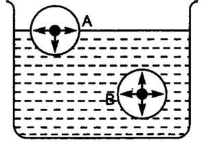 Surface Tension Formula - Definition, Equations, Examples