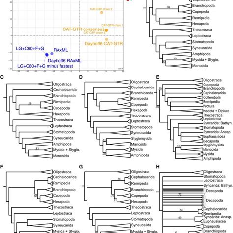 Topological Comparisons Data Set 2 A Mds Of Topological Tree Space