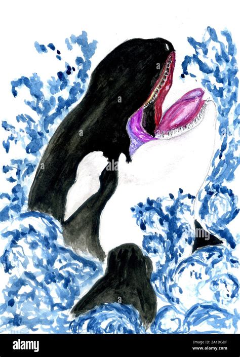 Hand drawn cartoon whale, colorful watercolor illustration Stock Photo ...