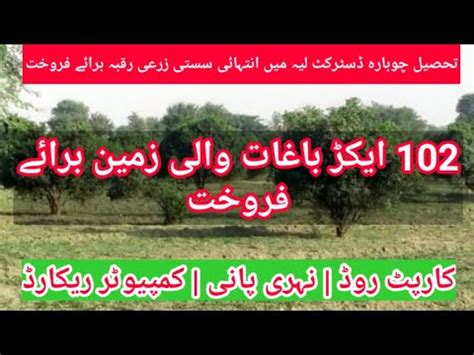 Cheap Price Agriculture Land For Sale In Chaubara District Layyah