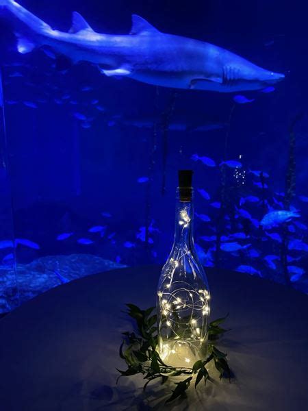 Maritime Aquarium at Norwalk - Norwalk, CT - Party Venue