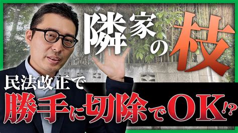 【10分で解説】隣地から伸びてきた枝は、勝手に切ってもokに 民法改正でルールはどう変わった？ Youtube