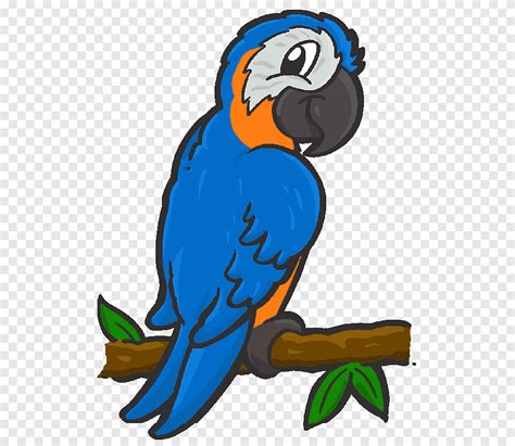 Macaw Parrot Illustration Beak BLUE Macaw Blue Fauna Png PNGEgg