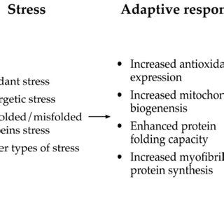 Mitohormetic Effects Of Acute Aerobic Exercise While There Are Broad