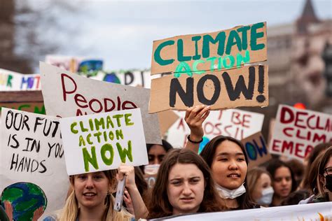 Understanding the growing radical flank of the climate movement as the