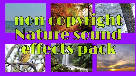 Free Nature Ambient Sound Effects Pack No Copyright Free To Download